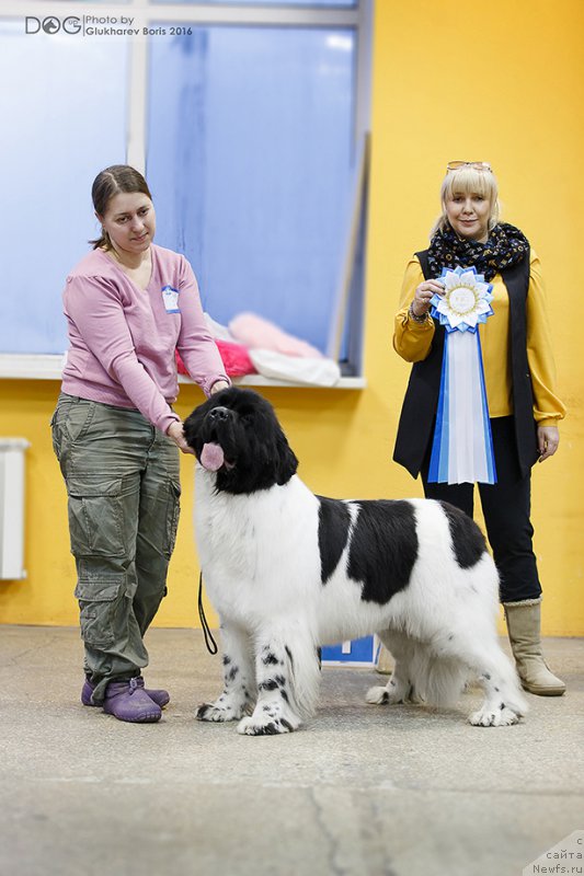 Фотография № 217318