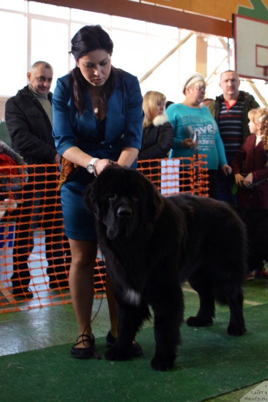 Фотография № 217358