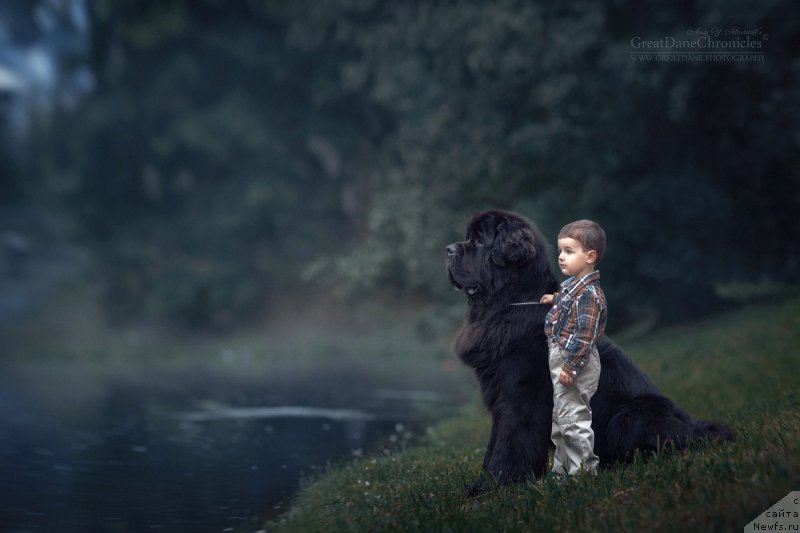 Фотография № 217402