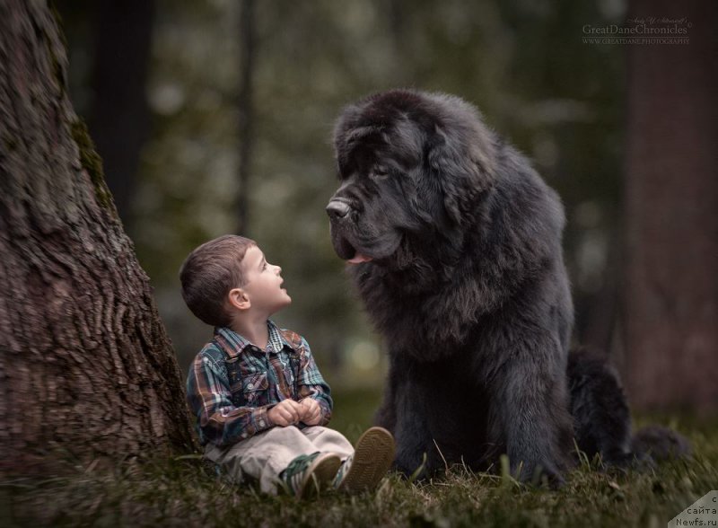 Фотография № 217428