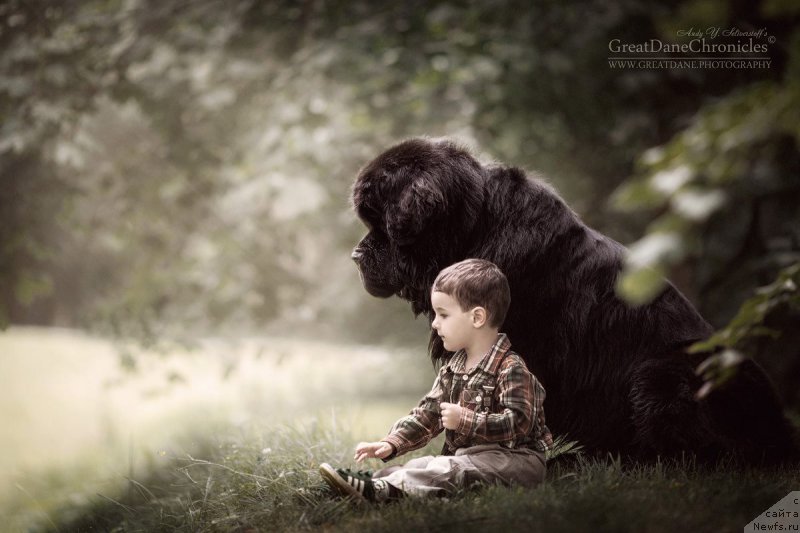 Фотография № 217429