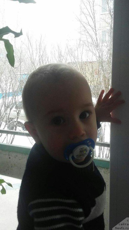 Фото: Elena Bajutina (Елена Бажутина)