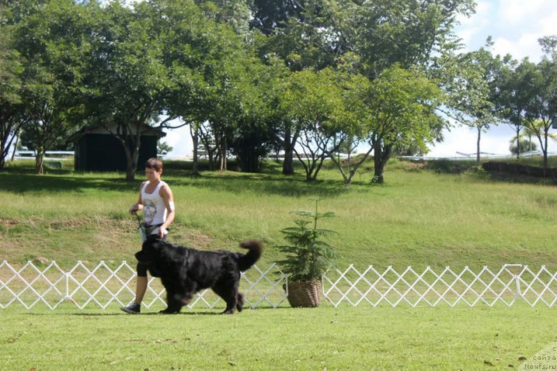 Фотография № 217526