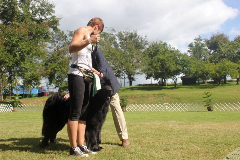 Фотография № 217527