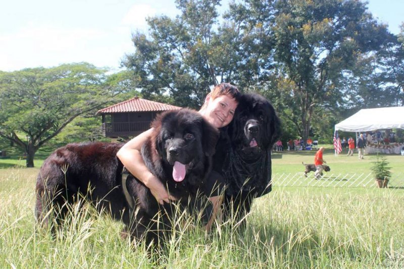 Фото: ньюфаундленд Piternyuf IMXO (Питерньюф ИМХО), Kseniya Abaturova (Ксения Абатурова), ньюфаундленд Waterton-Lakes Bear Now and Forever Zhade (Уотертон-Лейкс Беар Нау энд Форевер Жаде)