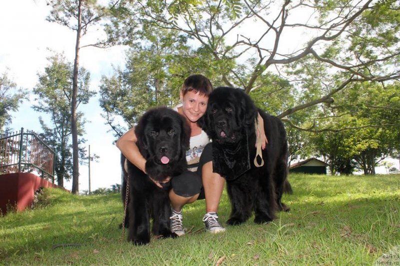 Фотография № 217530