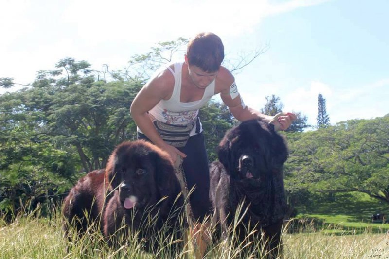 Фотография № 217534