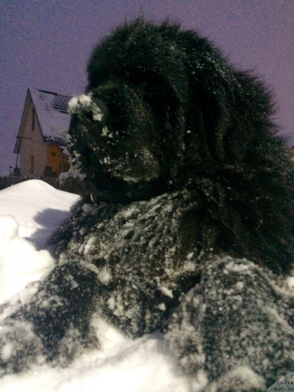 Фотография № 217563