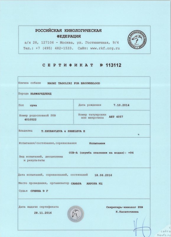 Фото: ньюфаундленд Naomi Tagoliri for Brouwnblood (Наоми Таголири фор Браунблад)