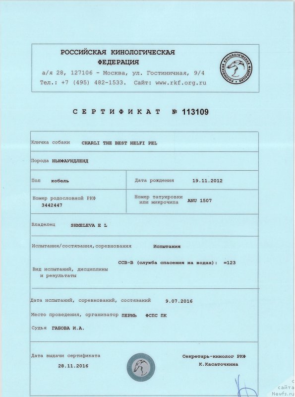 Фото: ньюфаундленд Charli The Best Helfi Pel (Чарли Де Бест Хелфи Пэл)