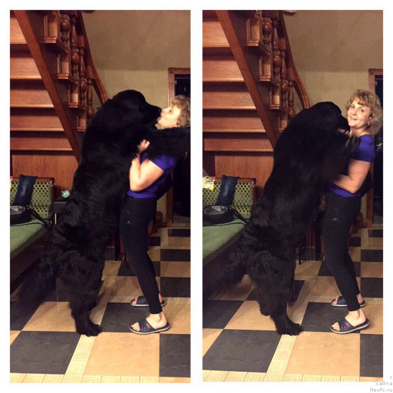 Фотография № 217573