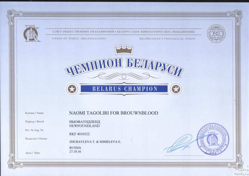 Фото: ньюфаундленд Naomi Tagoliri for Brouwnblood (Наоми Таголири фор Браунблад)