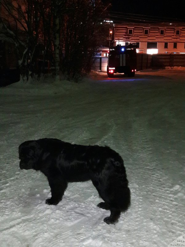 Фотография № 217630