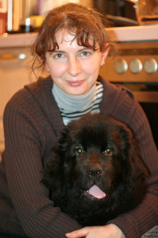 Фото: ньюфаундленд Chernaya Mafia Ball of Fire (Черная Мафия Балл оф Фире)