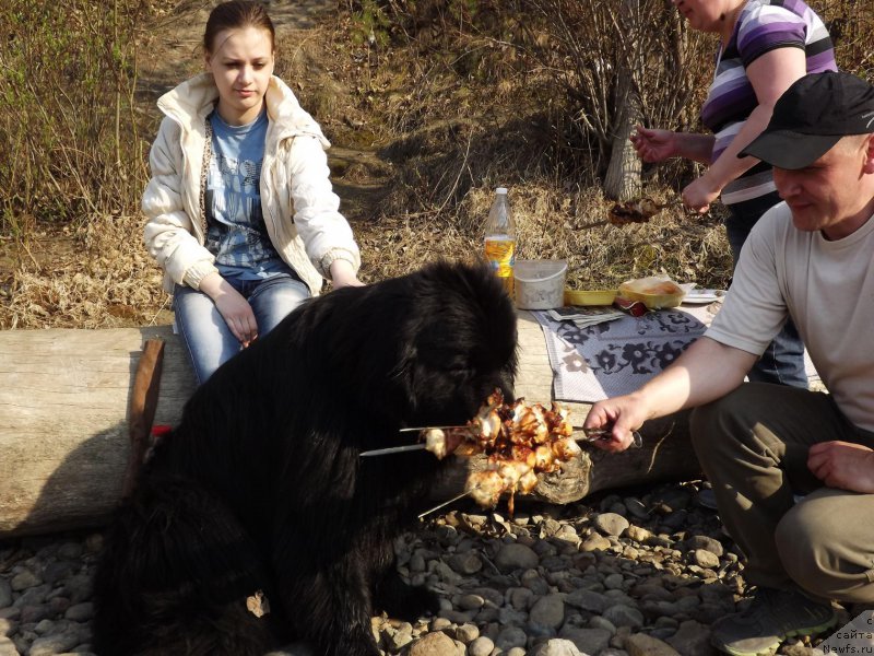 Фотография № 217662