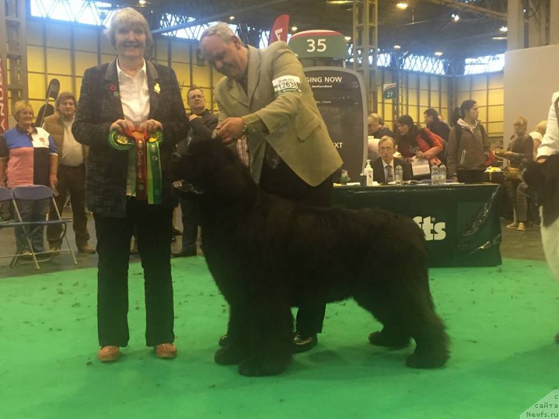 Фотография № 217746