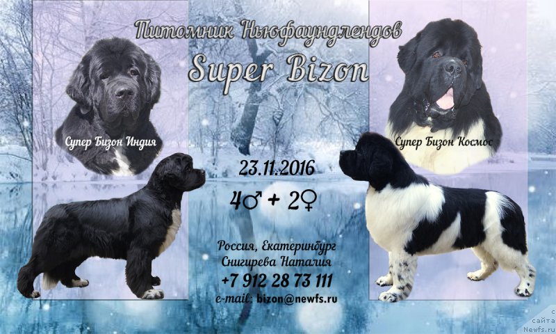 Фотография № 217749