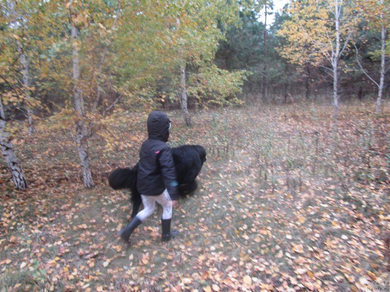 Фотография № 217791