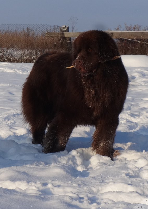 Фотография № 217811