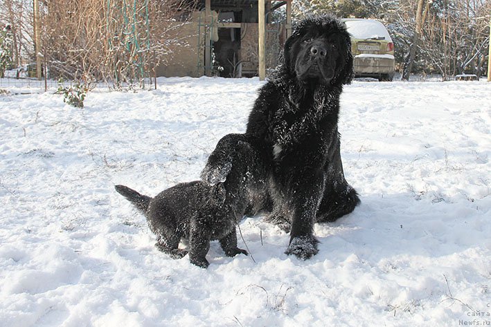 Фотография № 217875