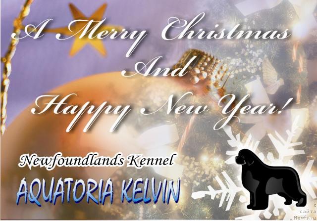 Фотография № 21790