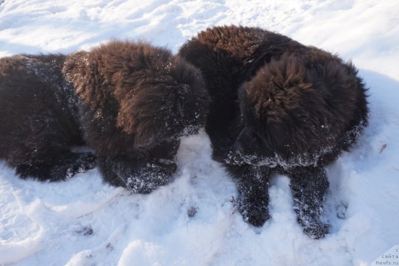 Фото: [d16229][d16228]