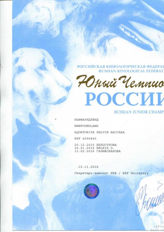 Фотография № 217974