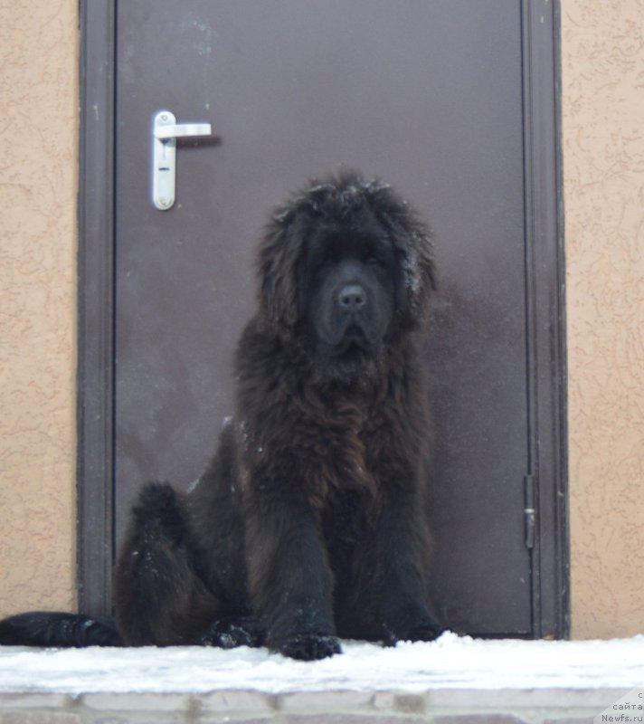 Фотография № 218011