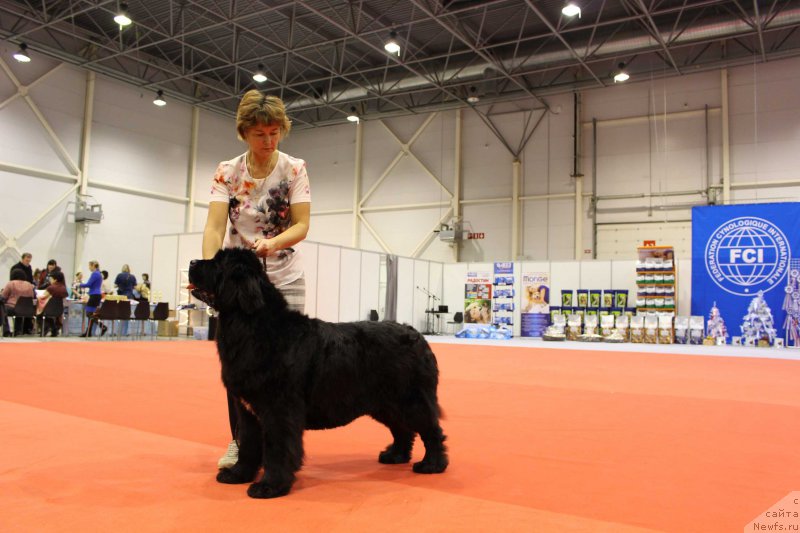 Фотография № 218065