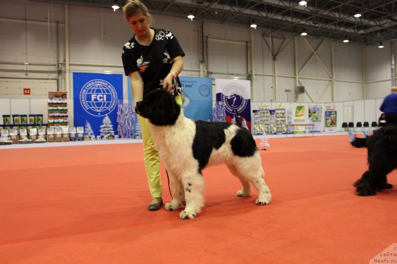 Фотография № 218066