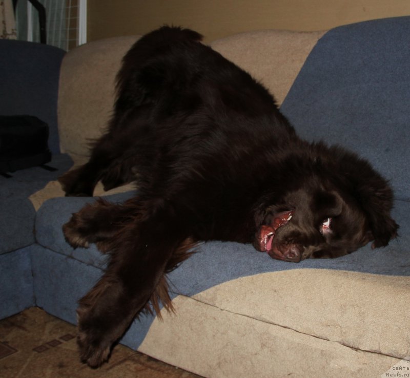 Фотография № 218088