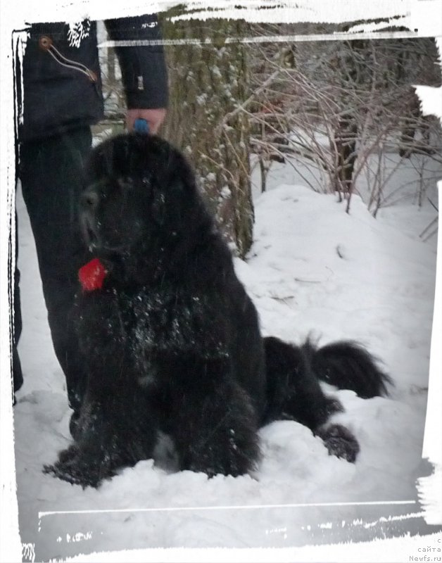 Фотография № 218105