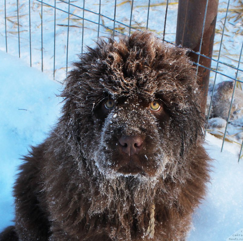 Фотография № 218139