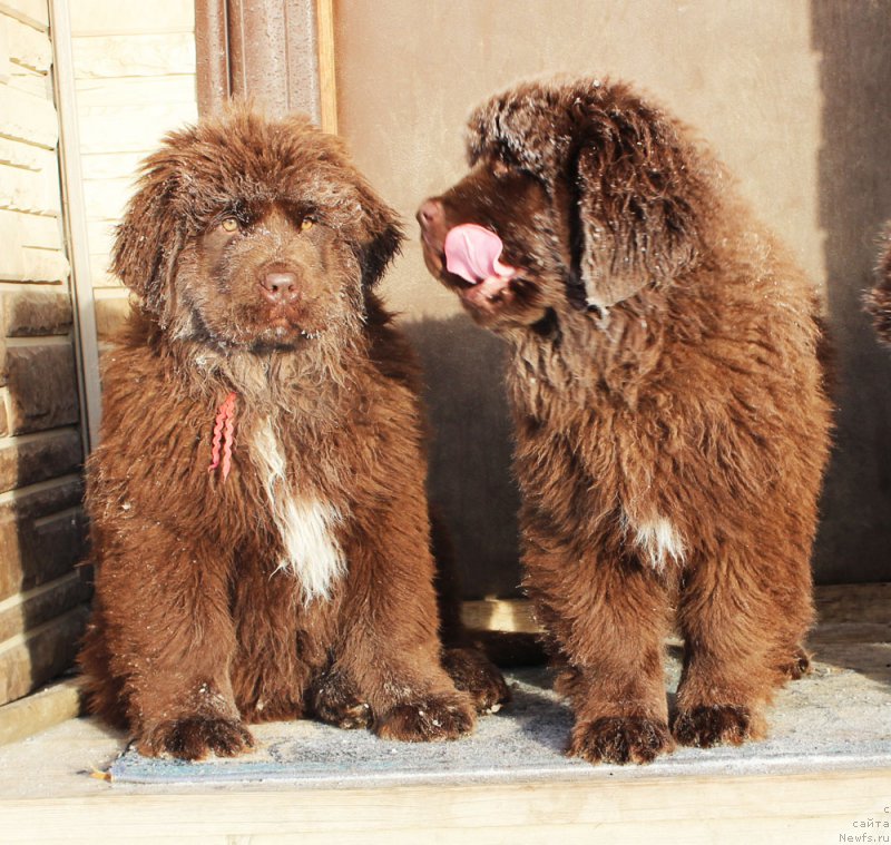 Фотография № 218174