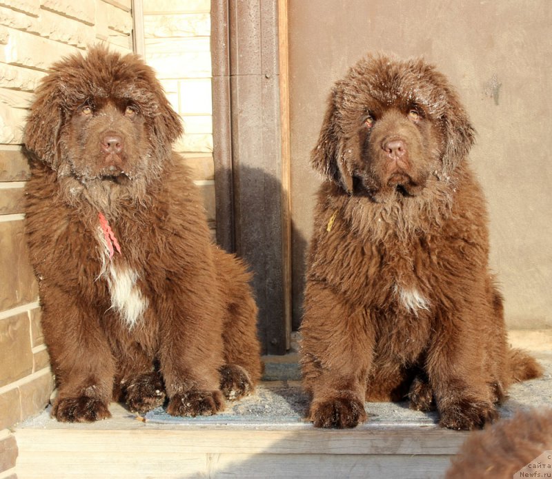 Фотография № 218176