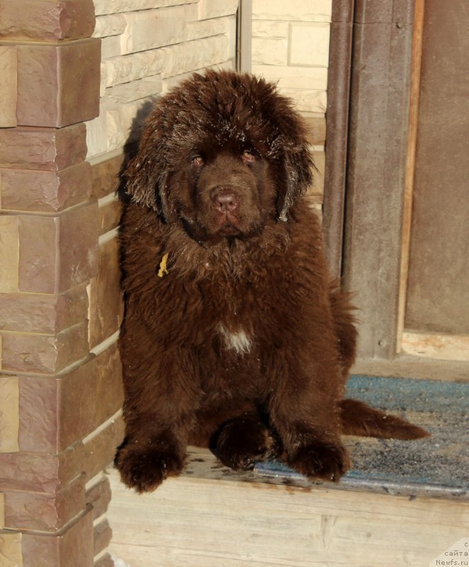 Фотография № 218179