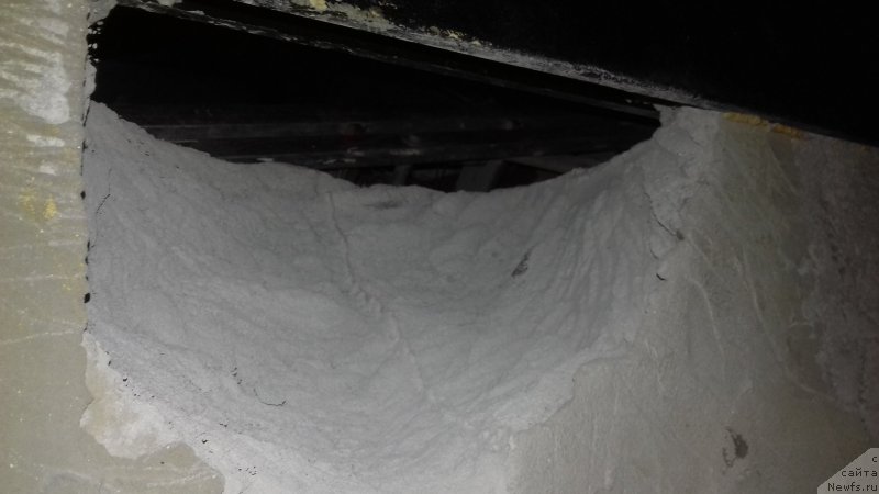 Фотография № 218182