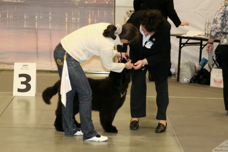 Фотография № 218255