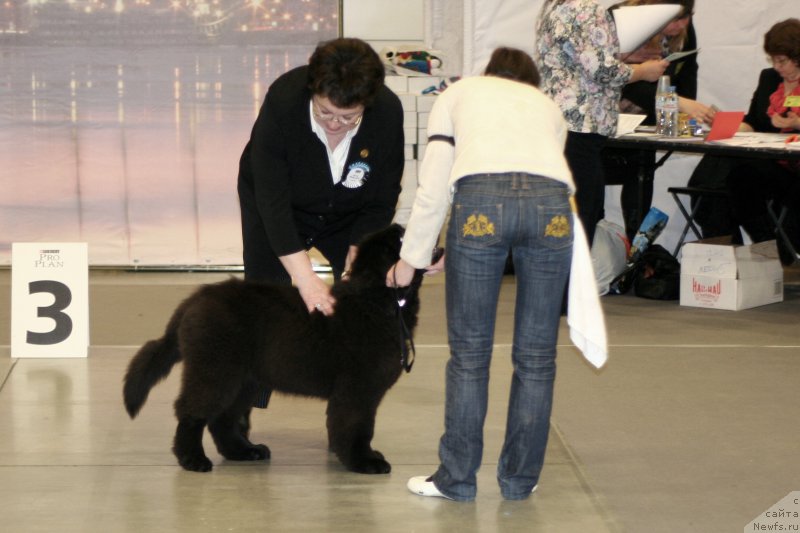 Фотография № 218256