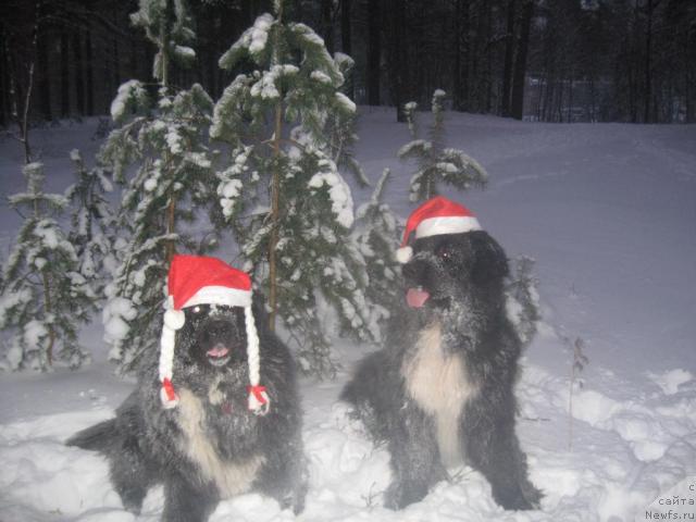 Фотография № 21826