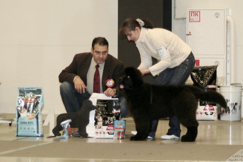 Фотография № 218263