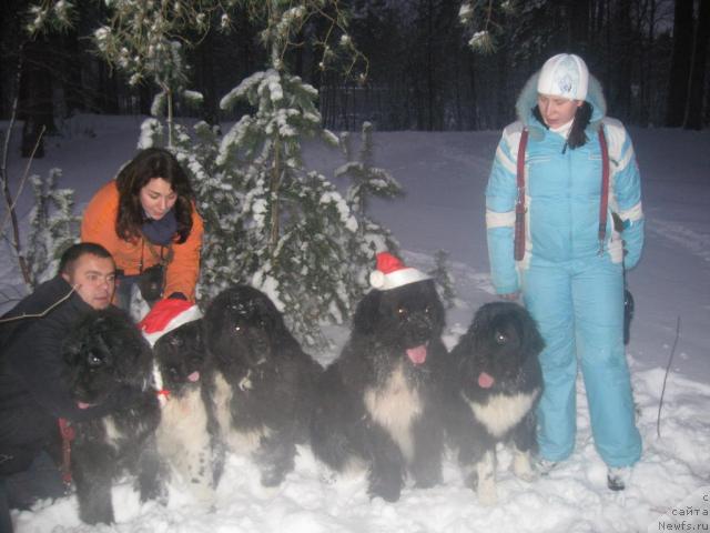 Фотография № 21827