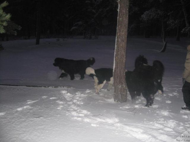 Фотография № 21828