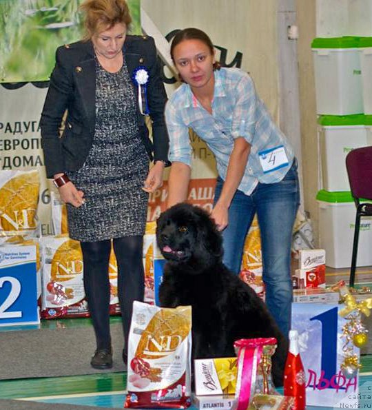 Фотография № 218283