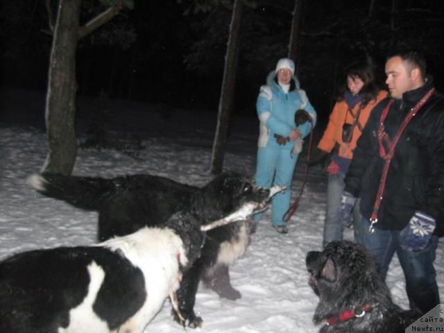 Фотография № 21829