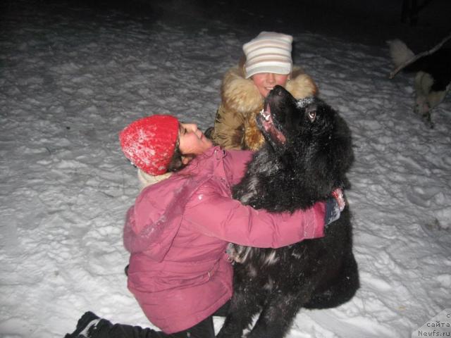 Фотография № 21830