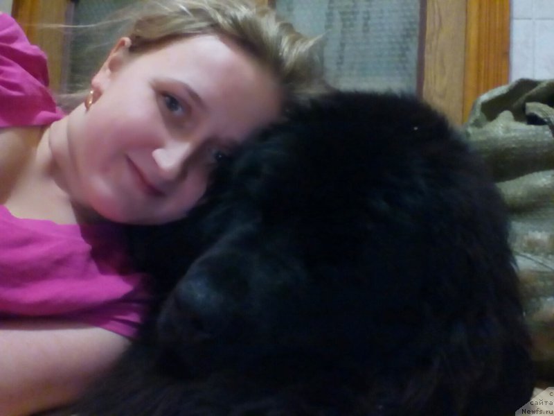 Фото: ньюфаундленд Braunblad MSK Berta Lenora (Браунблад МСК Берта Ленора)