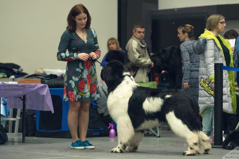 Фотография № 218323