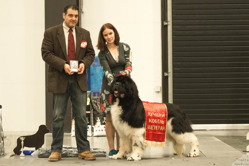 Фотография № 218324