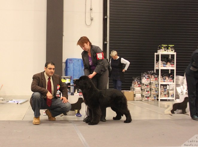 Фотография № 218333